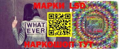 сатива Гатчина