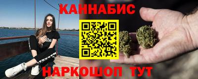 сатива Гатчина