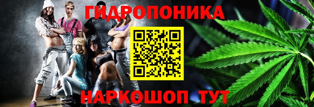 Канабис AK-47 Вологда